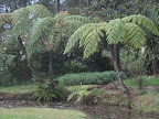 Victoria Park