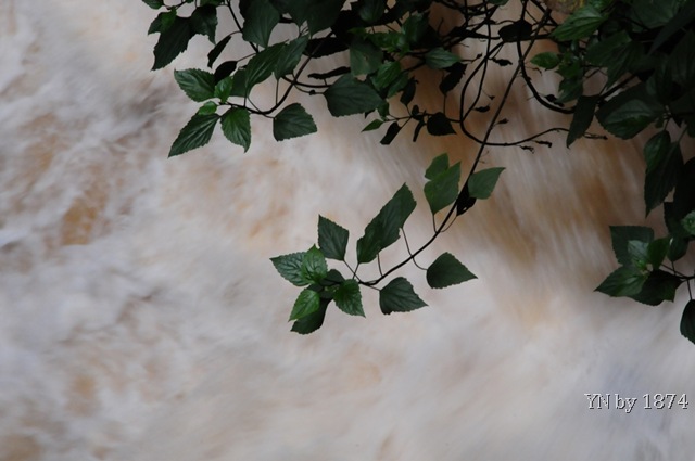 [DSC_5516%255B5%255D.jpg]