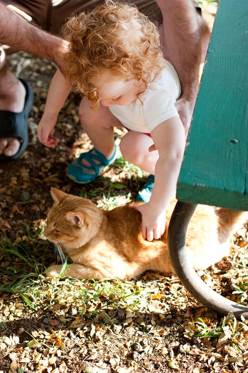 [20121216-IMG_45473.jpg]