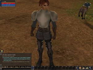 Creacion de armadura para Lineage II Creacion de armadura para Lineage II