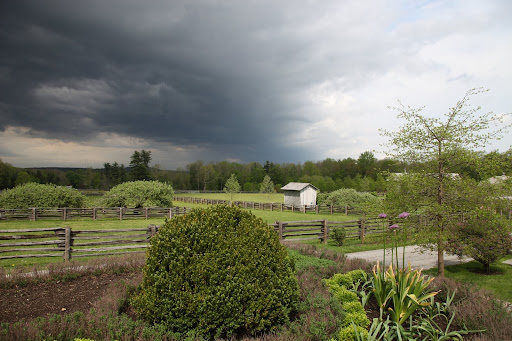 If you look on the bright side, it actually looks rather stunning, almost like a landscape painting.