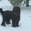 DSC_9262.JPG