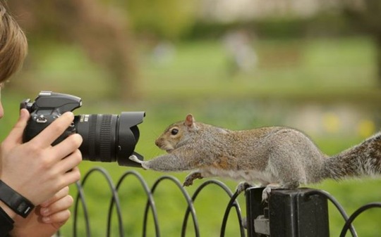 [viral-picdump-pics-17%255B2%255D.jpg]