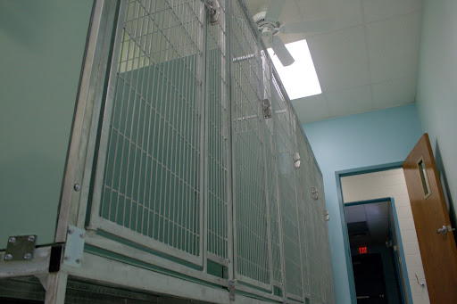 There are five kennels for big dogs at the clinic. (Photo by: Kenrick Nobles)