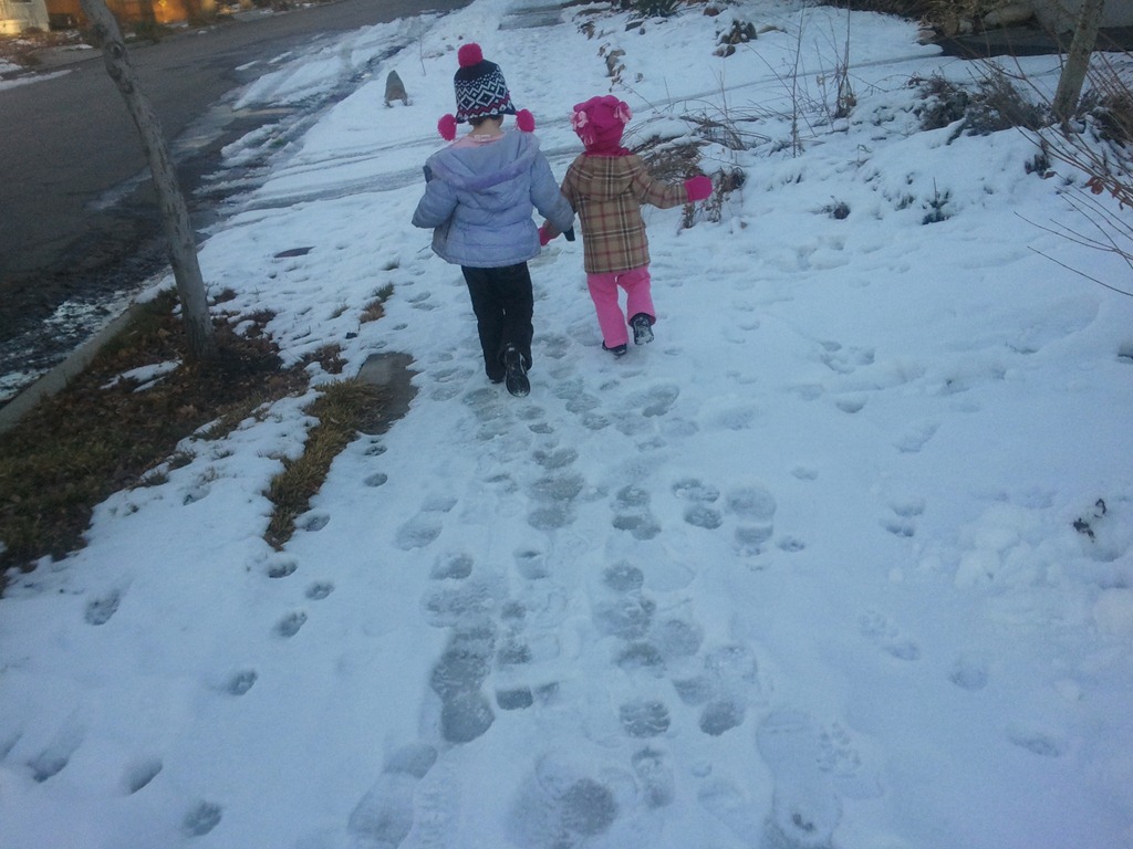 [_2012-01-24%252017.02.42%255B4%255D.jpg]