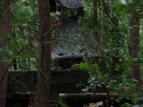 P7030110.JPG