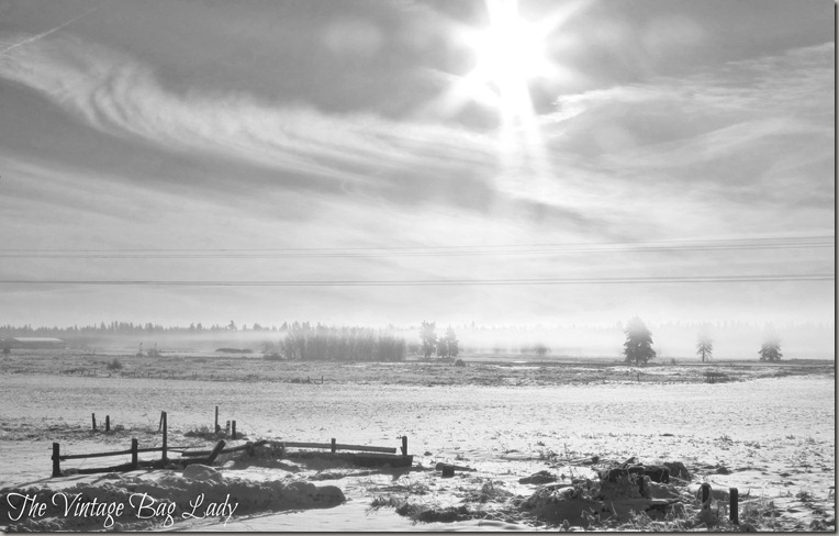 winter sunshine 009 (3)