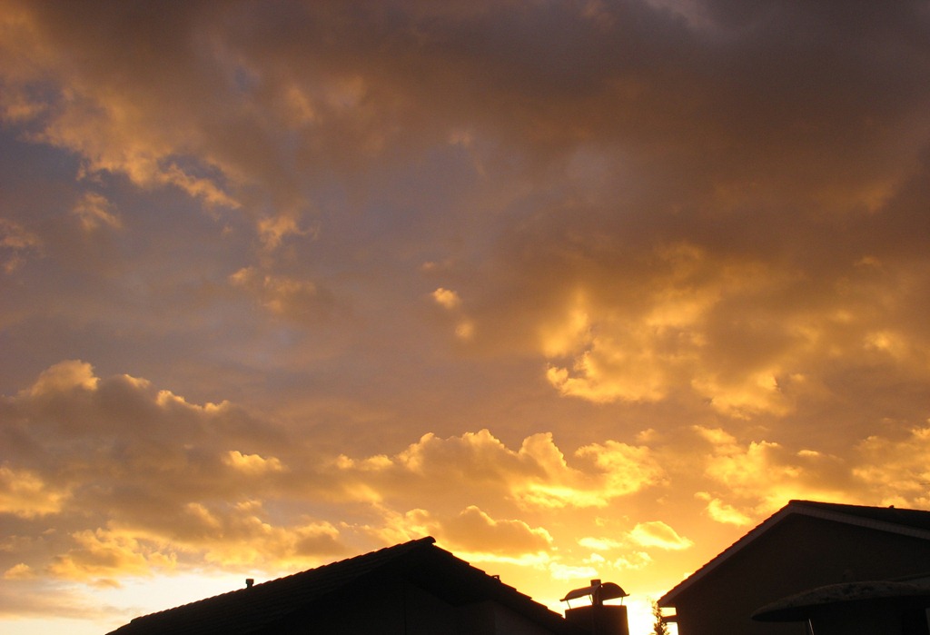 [2012-01-18-0055.jpg]