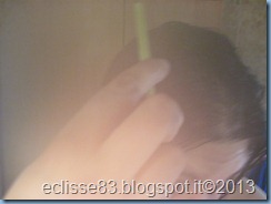IMG_1511 IMG_1511
