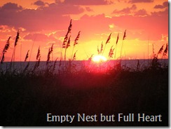 OBX 2012 006 OBX 2012 006