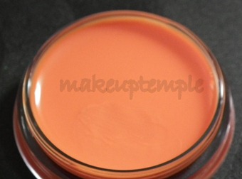 SLEEK MAKEUP CARIBBEAN COLLECTION POUT POLISH ARUBA SWATCHES SLEEK MAKEUP CARIBBEAN COLLECTION POUT POLISH ARUBA SWATCHES