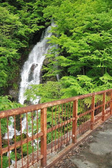 ニコイ大滝