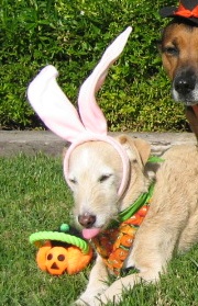 Of course Doc had been the bunny the previous year....