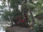 Backwaters