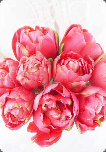 1 a country farmhouse peony tupips 1 a country farmhouse peony tupips