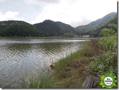 B雙連埤岸 B雙連埤岸