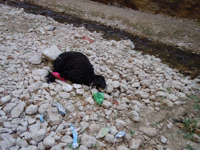 DSCN4040.jpg