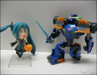 Support Nendoroid Miku