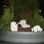 DSC00411.JPG