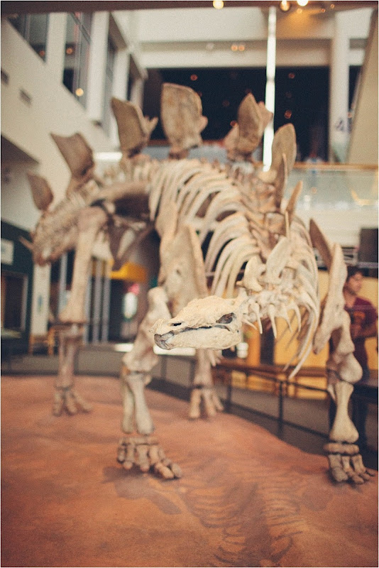 2012-07-09_029 2012-07-09_029