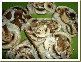 Crostini con mozzarella, funghi champignon e santoreggia (9)