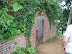 Mt. Vernon In August
