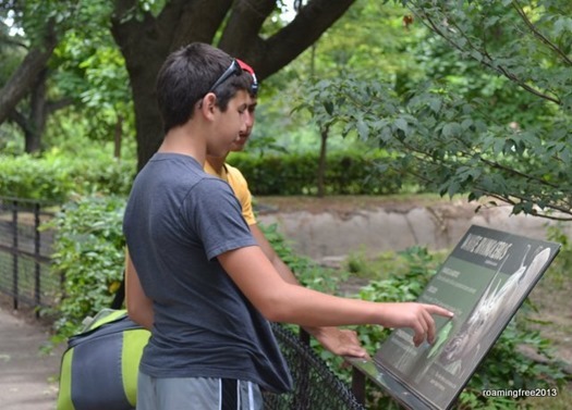 Reading about the white rhinos