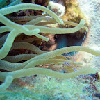 IMG_8961.JPG
