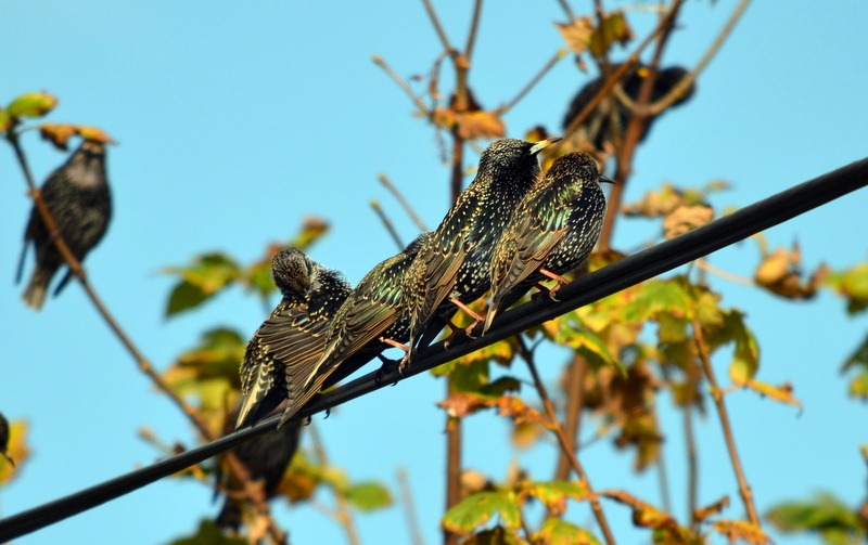 [1-DSC_7024%255B6%255D.jpg]