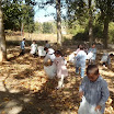 IMG_20131018_125156.jpg