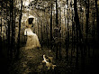 Ghosts Of Romance