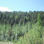 DSCF9073.JPG