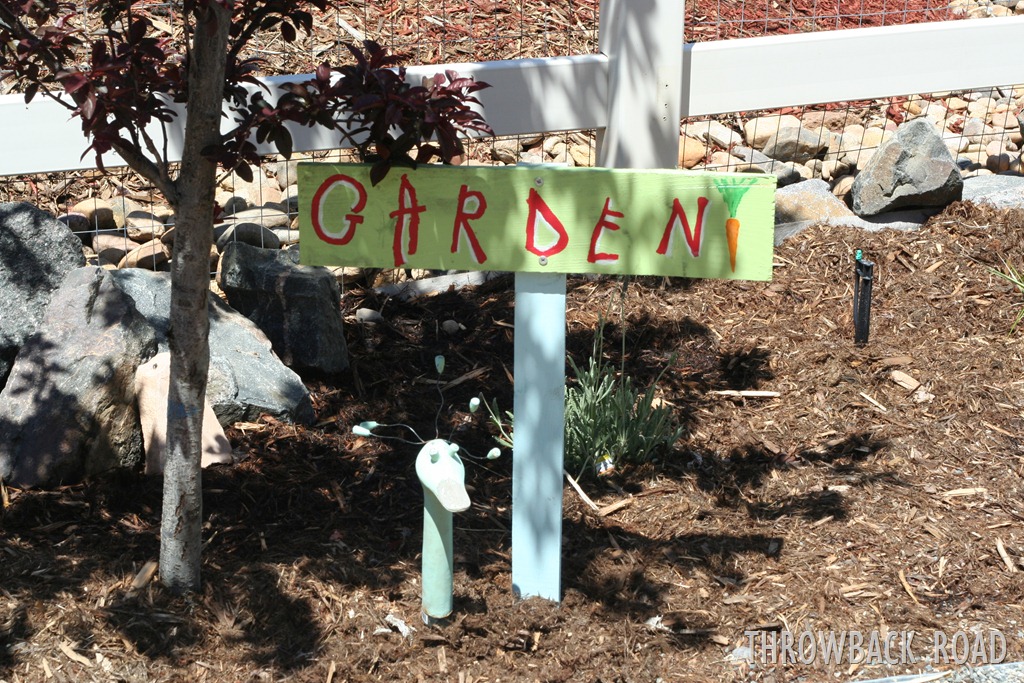 [garden%2520decoration%2520017%255B3%255D.jpg]