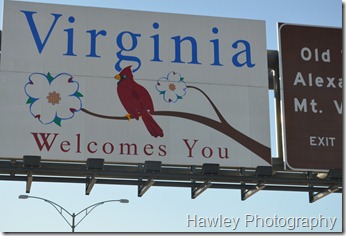 DSC_0383 DSC_0383