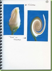 13.Page 43 13.Page 43