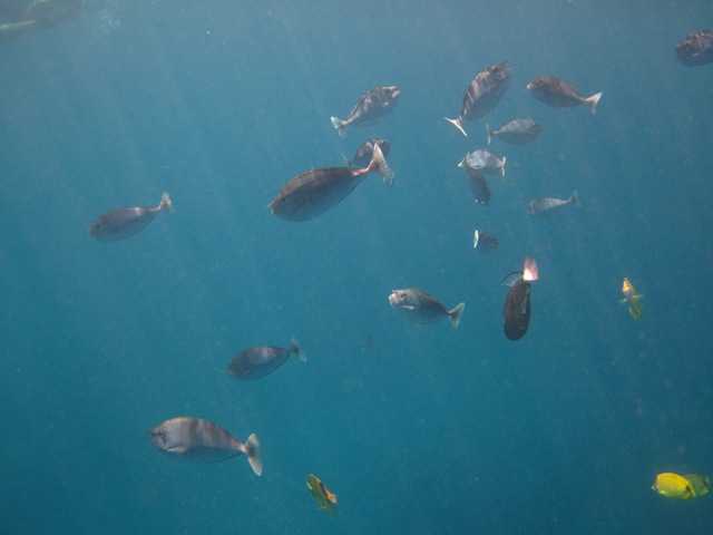 [IMG_3513%255B3%255D.jpg]
