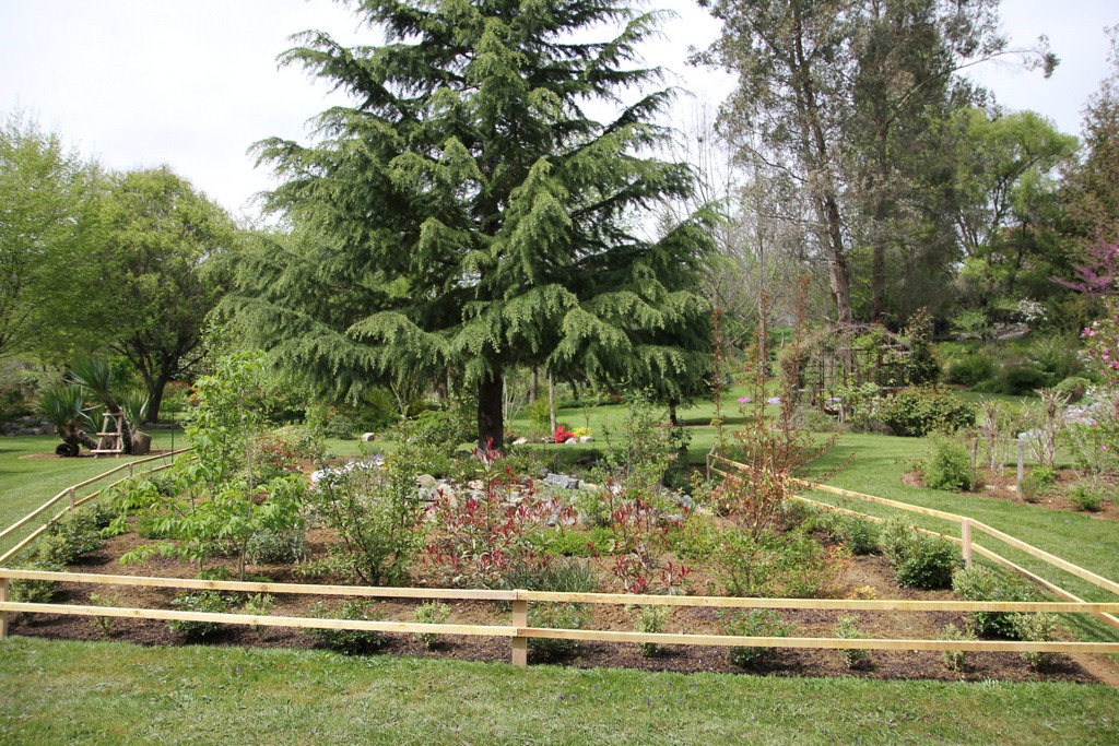 [IMG_6717%255B3%255D.jpg]