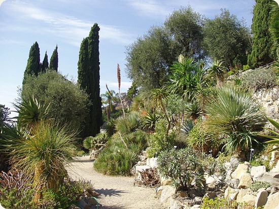 Giardini_Botanici_Hanbury1 Giardini_Botanici_Hanbury1
