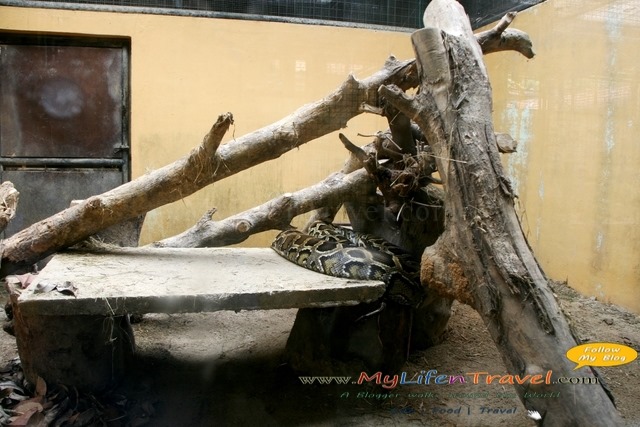 Langkawi Wildlife Park Langkawi Wildlife Park