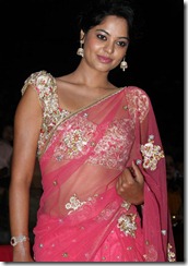 actress_bindu_madhavi_cute_in_saree_photo