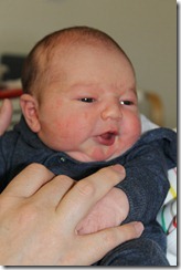 IMG_1077 IMG_1077