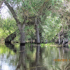 IMG_7620.JPG
