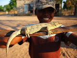 This is Nqobile, one kid from our host family who comes over all the time, he's pretty cool too. He was a bit scared to hold the lizard, but it turned out to be a really nice picture. South Africa - 260.jpg