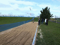 S0257717-MOTION.gif