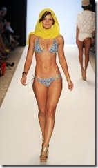 dollys-from-holly.blogspot.com_bikinis_02