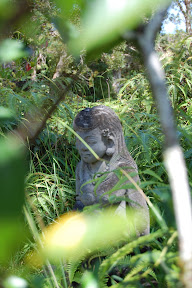 DSC_0252.jpg