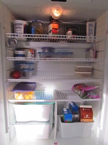 SparseRefrigerator-2-2012-04-13-21-42.jpg
