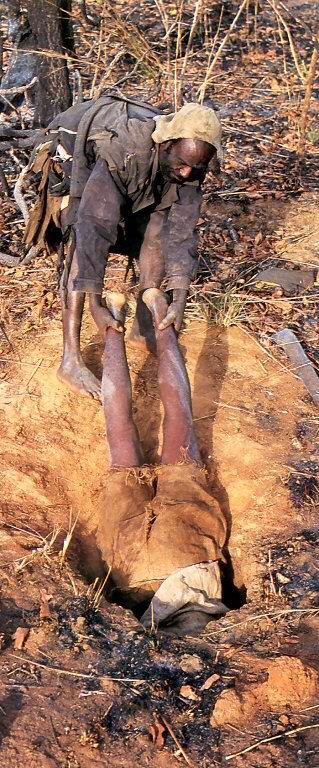 Catching an Anaconda by natural Superheroes