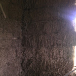 IMG_20120929_104612.jpg