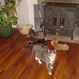 Grace, Tess, and Tink in front of the woodburner.